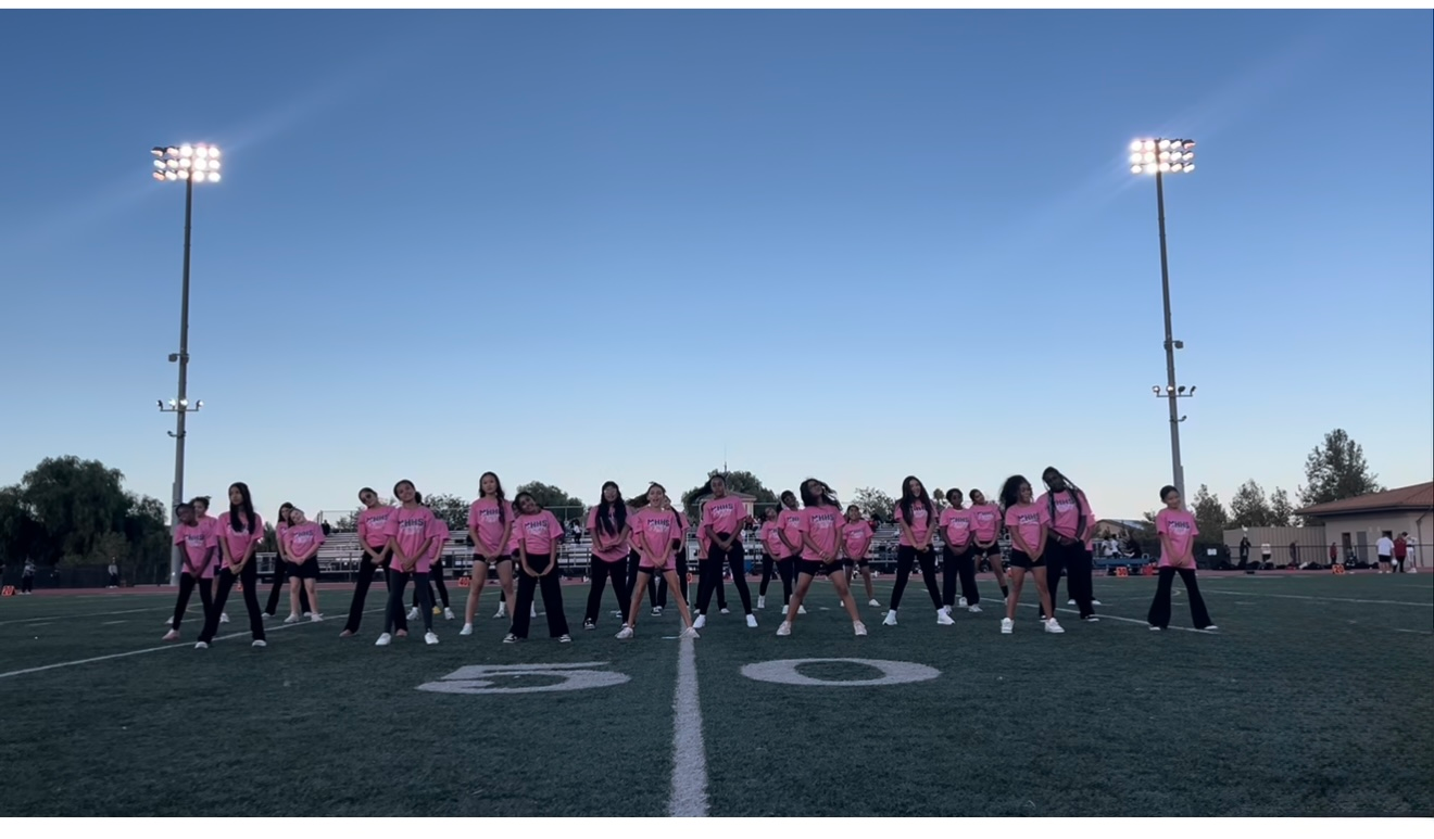 Synergy Dance - Adventures with Anahita